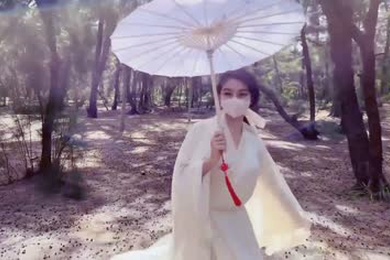 汉服游玩小树林