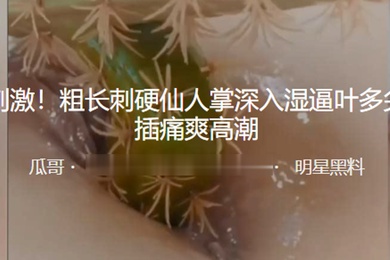 重口刺激粗长刺硬仙人掌深入湿逼叶多尖刺抽插痛爽高潮