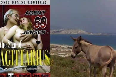 人马座符号iSkyttenstegn1978