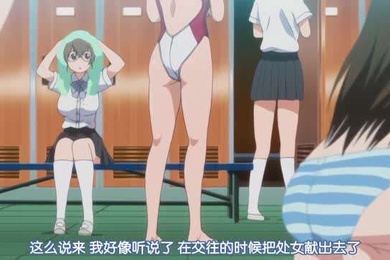 宠物的生活